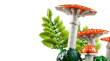 Woodland Mushrooms