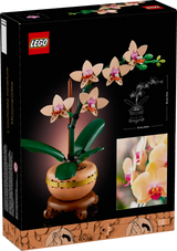 Mini Orchid