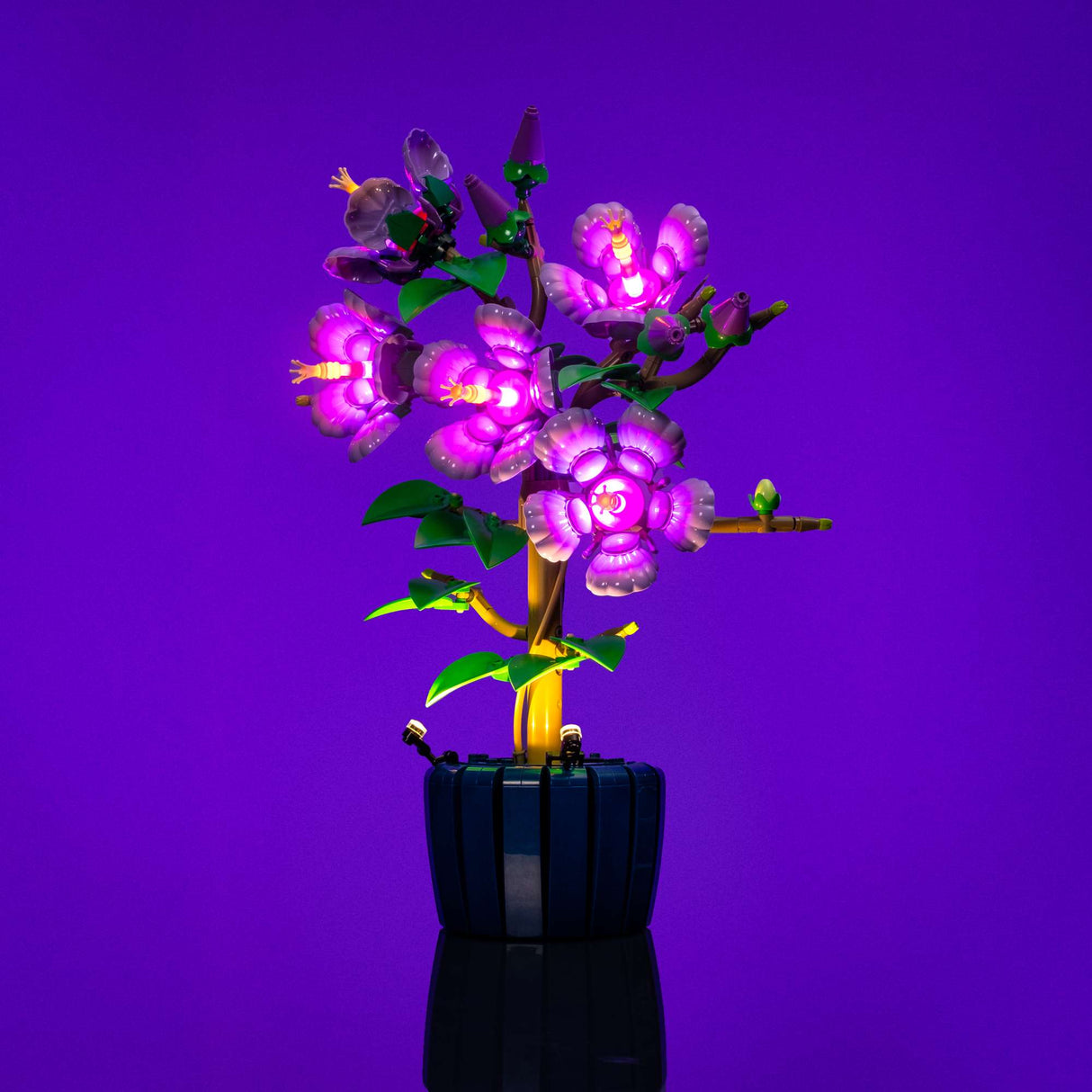 Light My Bricks (LMB) 2.0 Light Kit for LEGO #10372 Botanicals Hibiscus