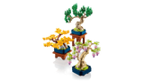Mini Bonsai Trees