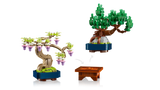 Mini Bonsai Trees