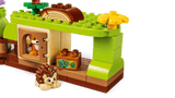 Discovery Forest with Wild Animals