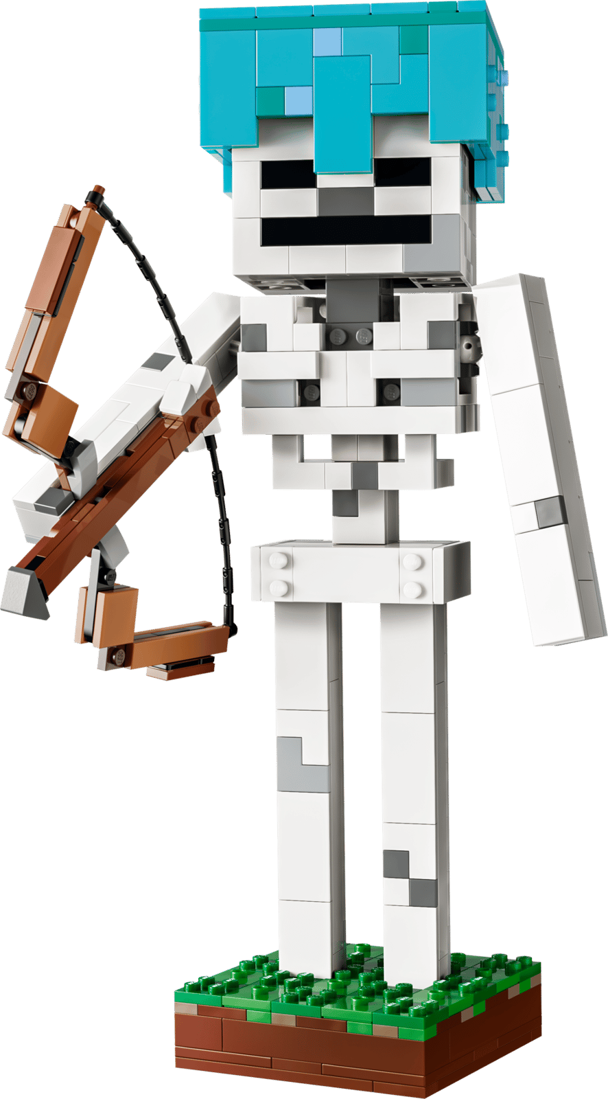 The Skeleton