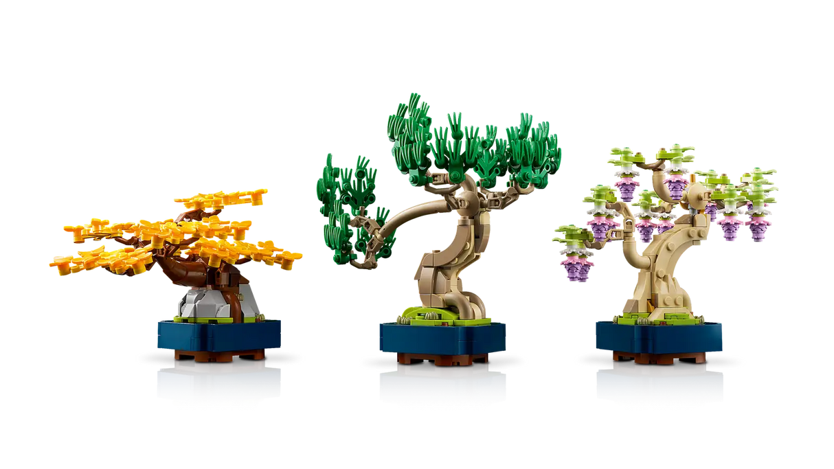 Mini Bonsai Trees