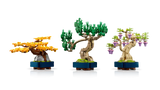 Mini Bonsai Trees