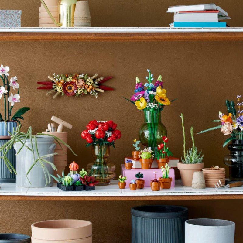 Flowers & Plants