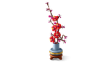 Plum Blossom