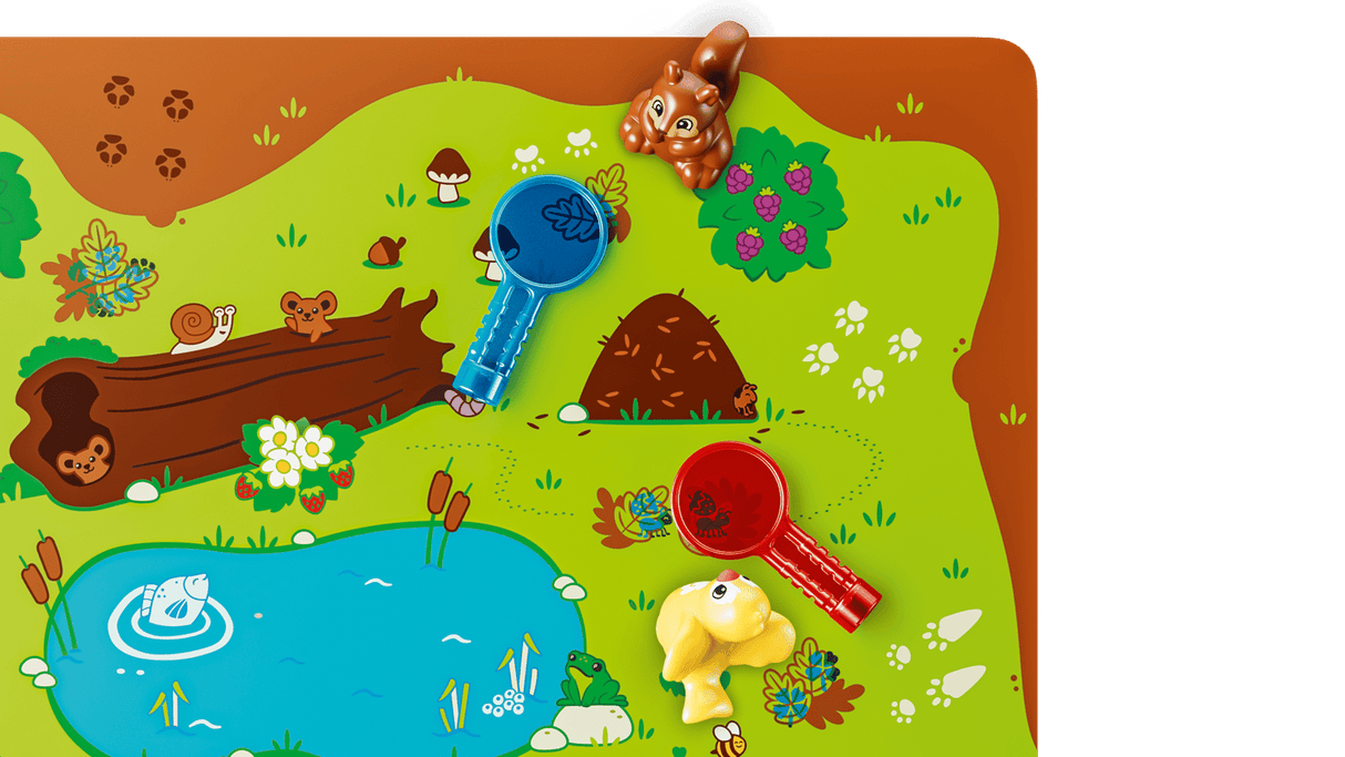 Discovery Forest with Wild Animals