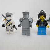 Ninjago City Gardens. Complete with instructions and box