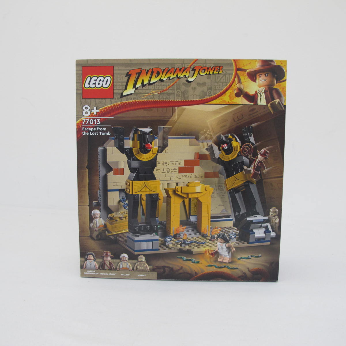 Escape from the Lost Tomb. Complete with instructions and box