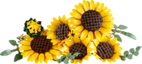 Sunflower Bouquet