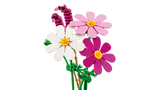 Cosmos Flowers