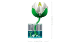 Water Lilies