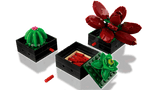 Succulents