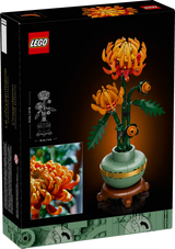 Chrysanthemum