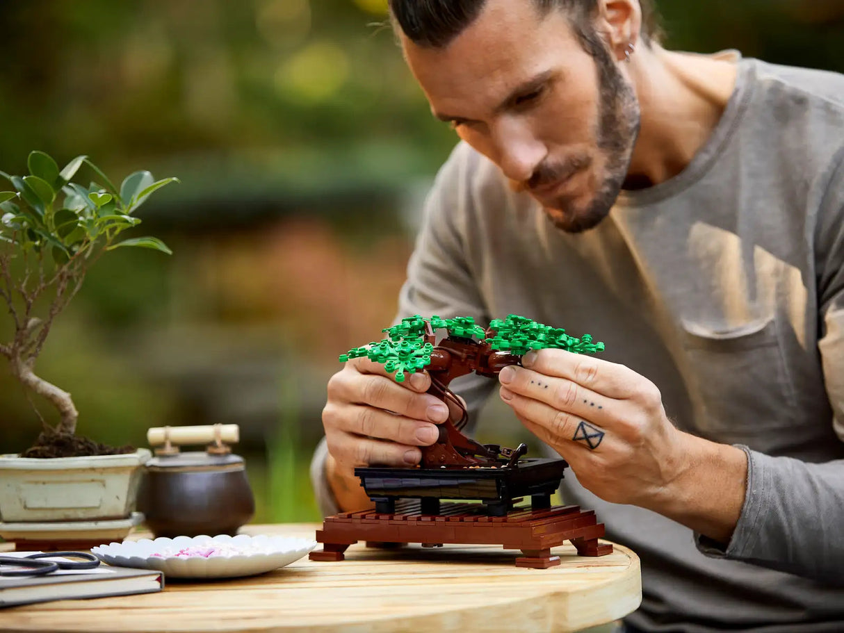 Bonsai Tree