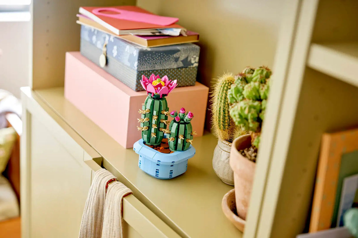 Flowering Cactus