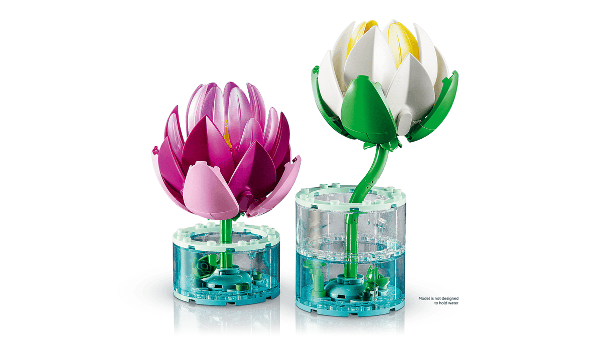 Water Lilies