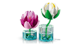 Water Lilies
