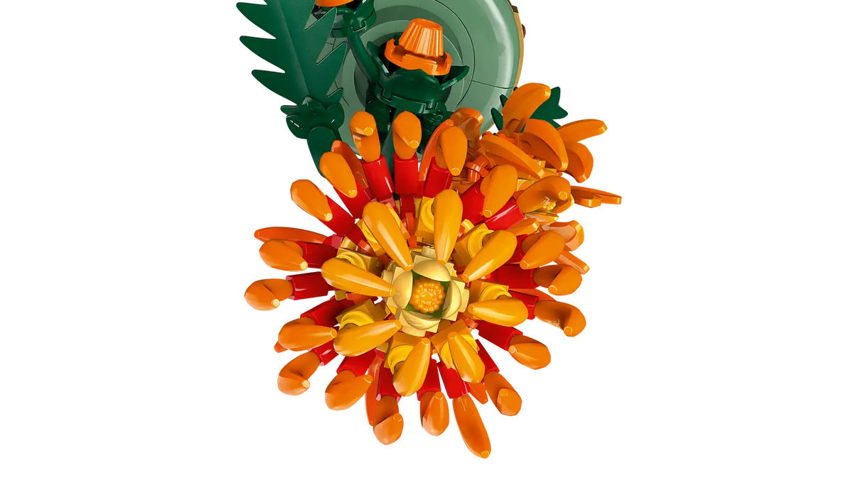 Chrysanthemum