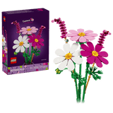 Cosmos Flowers