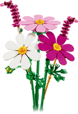 Cosmos Flowers