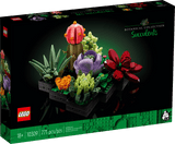 Succulents