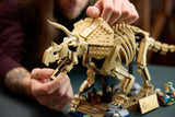 Dinosaur Fossils: Triceratops