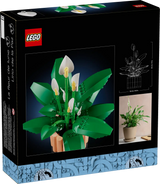 Peace Lily