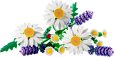 Daisies
