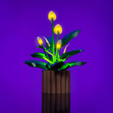 Light My Bricks (LMB) 2.0 Light Kit for LEGO® Peace Lily #11504