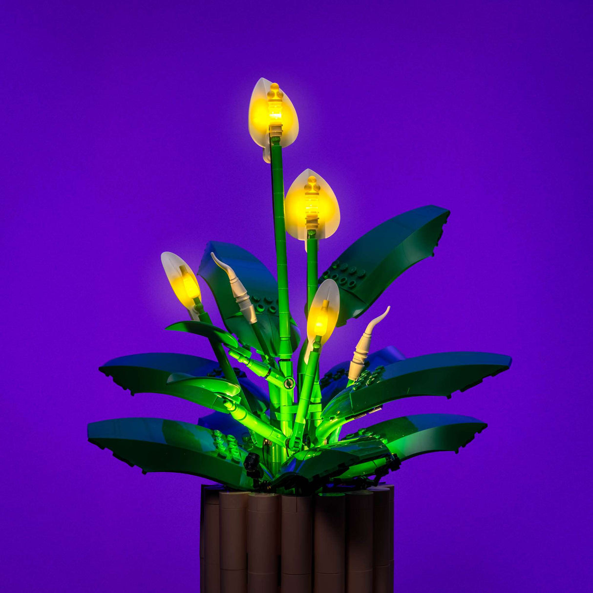 Light My Bricks (LMB) 2.0 Light Kit for LEGO® Peace Lily #11504