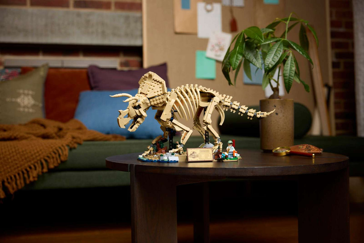 Dinosaur Fossils: Triceratops