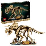 Dinosaur Fossils: Triceratops