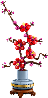 Plum Blossom
