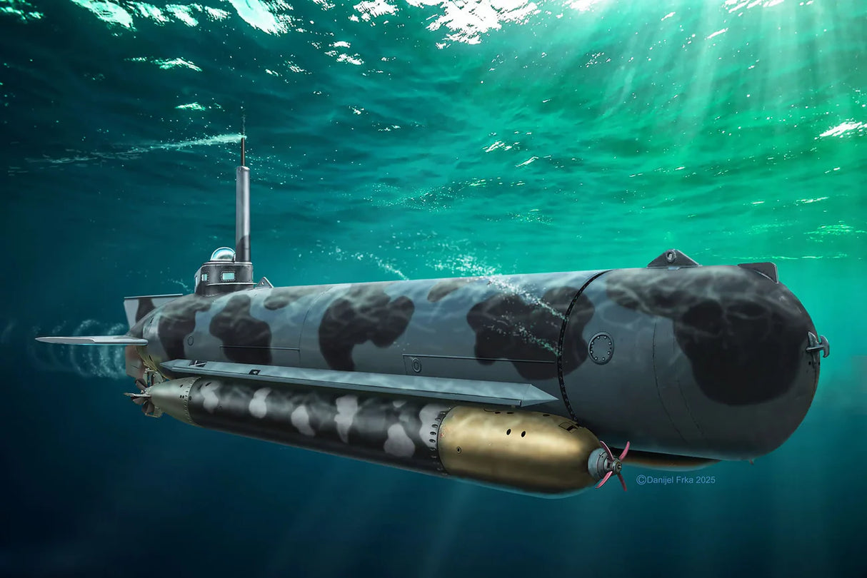 German Midget Submarine Type