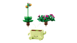 Rocking Plants