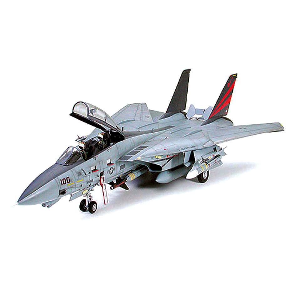 Grumman F-14A Tomcat Black Knights