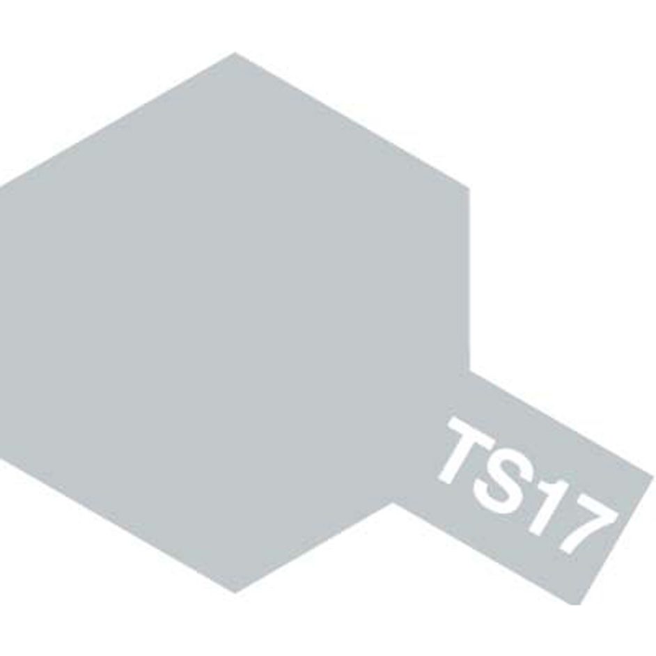 TS-17 Gloss Aluminum