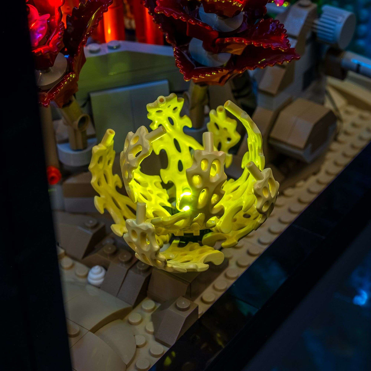 Light My Bricks (LMB) 2.0 Light Kit for LEGO® Tropical Aquarium #10366