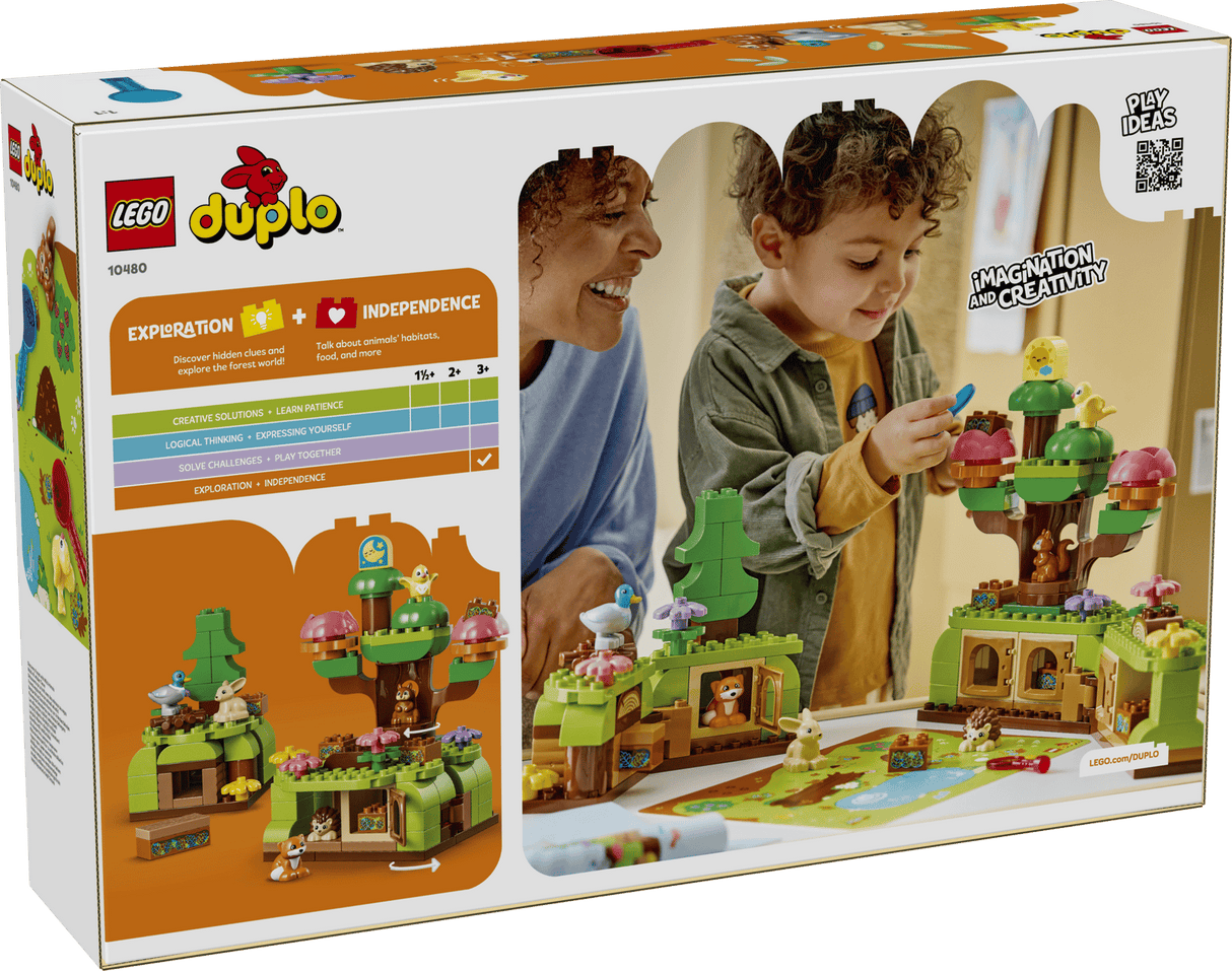 Discovery Forest with Wild Animals