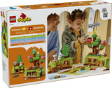 Discovery Forest with Wild Animals
