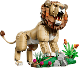 Wild Animals: Majestic Lion