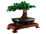 Bonsai Tree