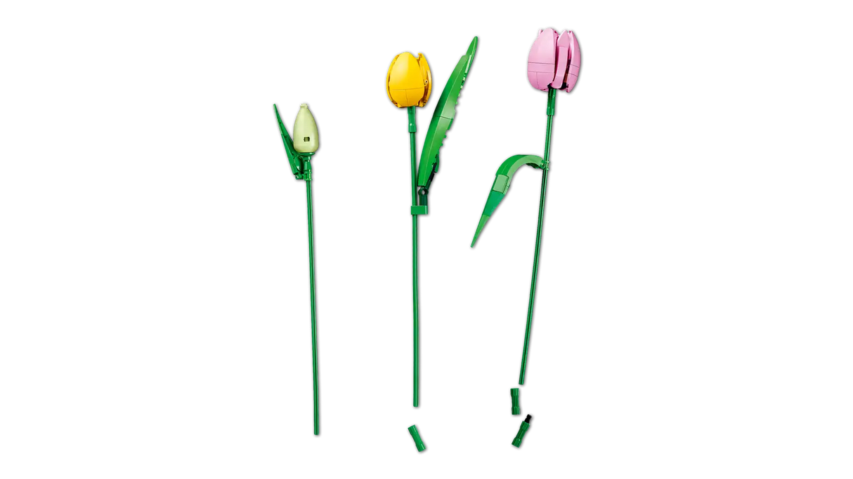 Tulip Bouquet