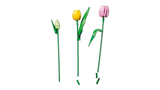 Tulip Bouquet
