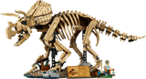 Dinosaur Fossils: Triceratops