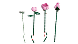 Bouquet of Pink Roses