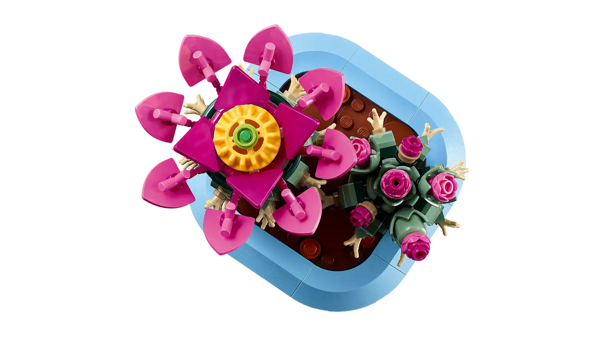 Flowering Cactus