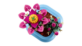 Flowering Cactus